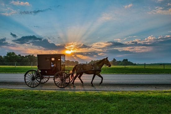 Amish wood cook stoves' history is a testament to Self-Sufficiency